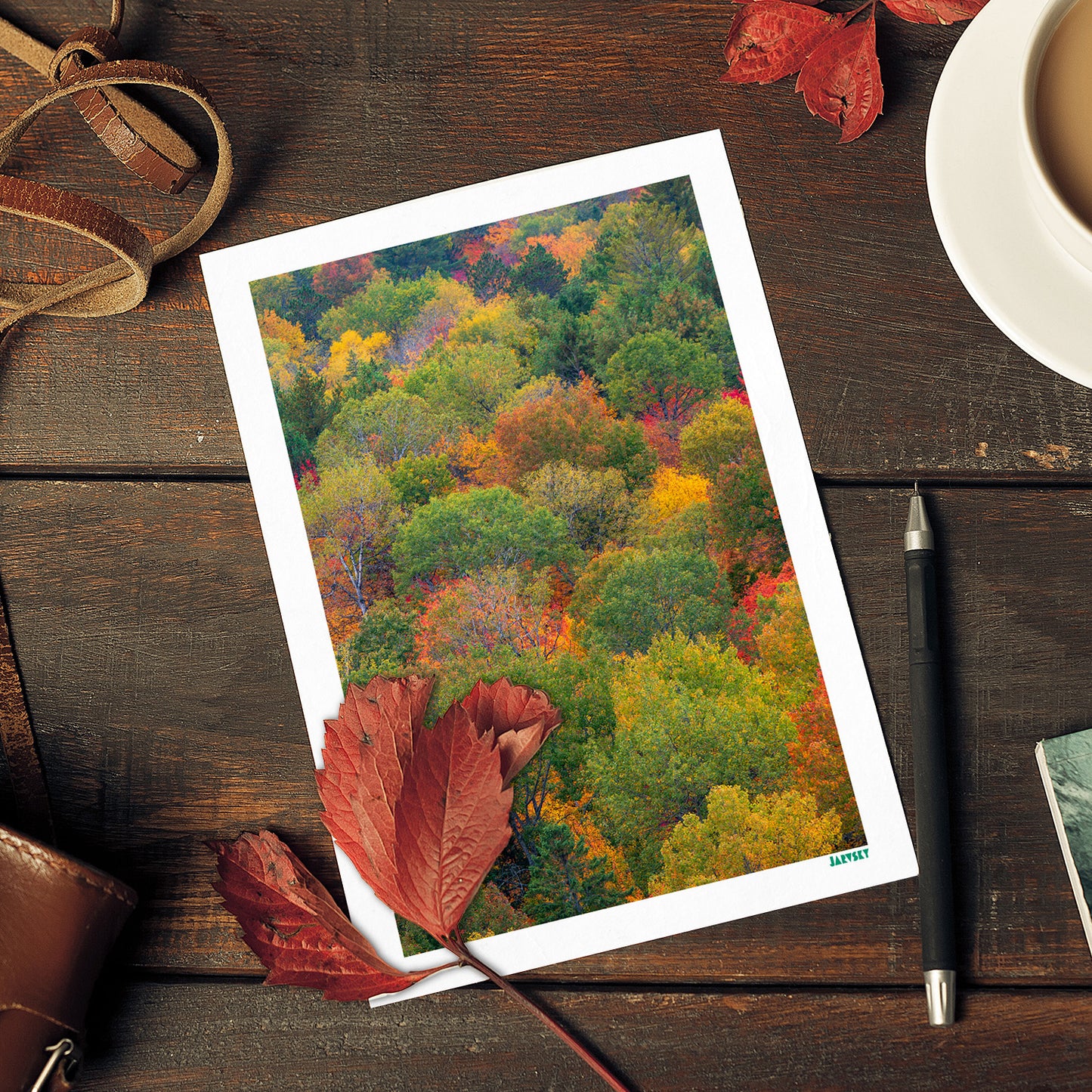 Autumn Collection