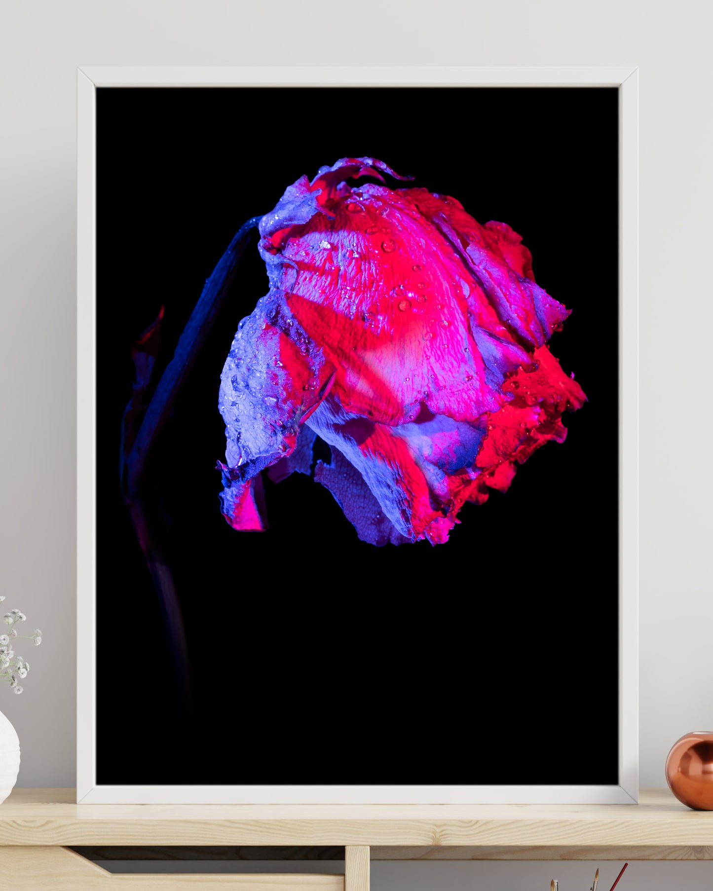 "Colourful Descent" - Nature’s Glow Collection