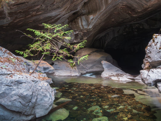 A Hidden Gem for Adventure Seekers: Little Huson Caves