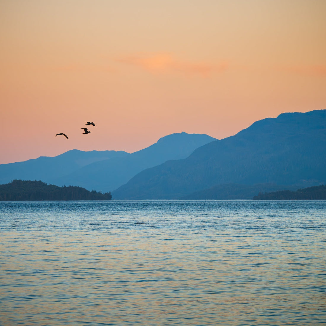 Slowing Down on Malcolm Island
