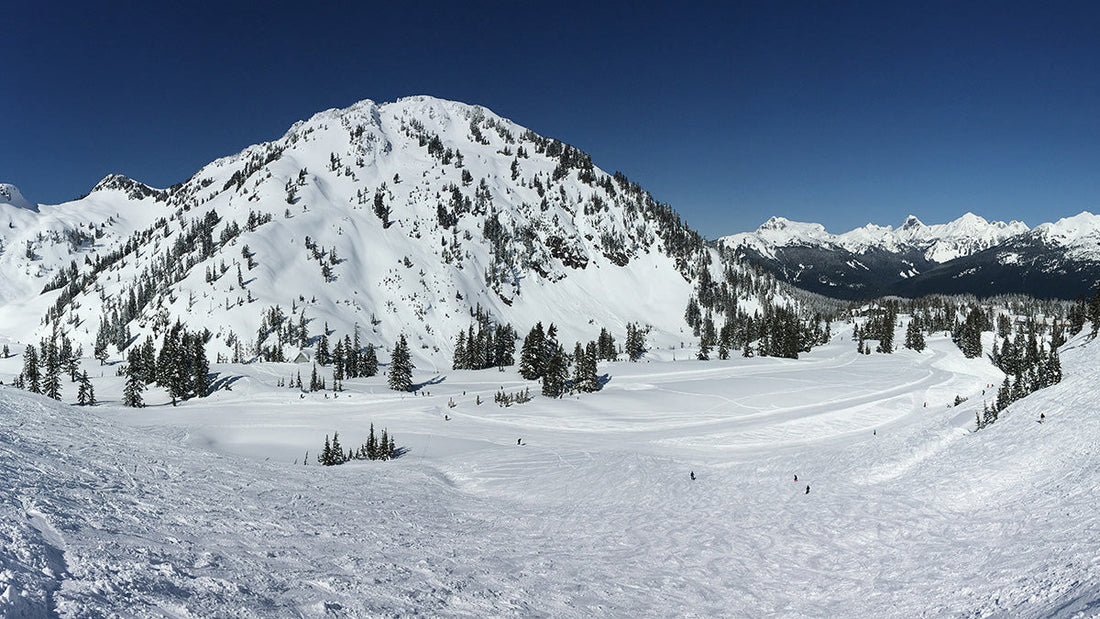 Mt. Baker Ski Area