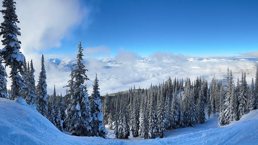 Revelstoke Mountain Resort