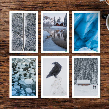 Jarvsky Winter Small Print Set