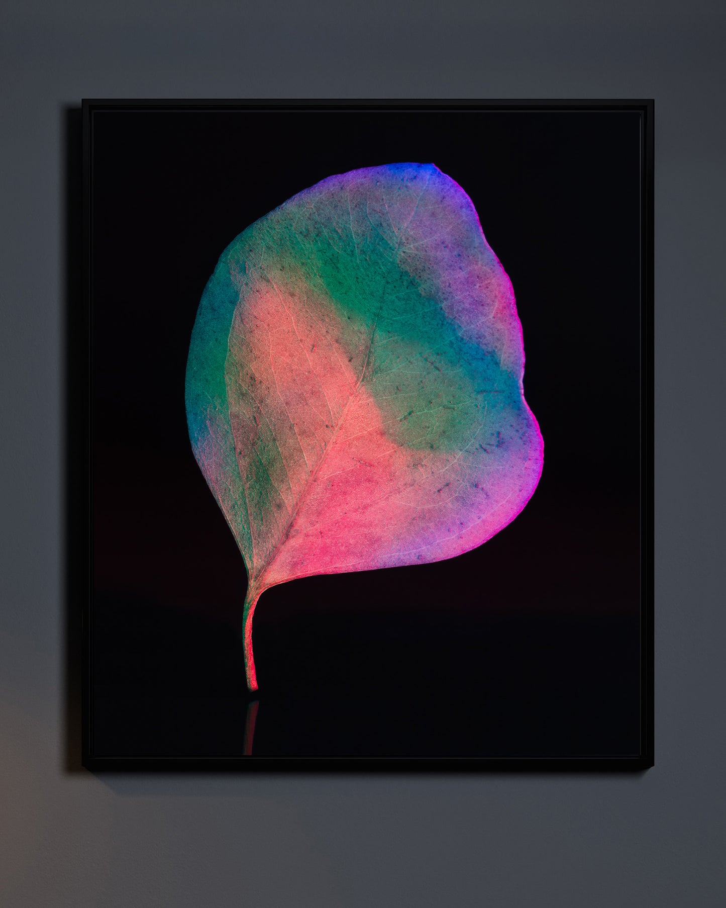 "Chromatic Leaf" - Nature’s Glow Collection