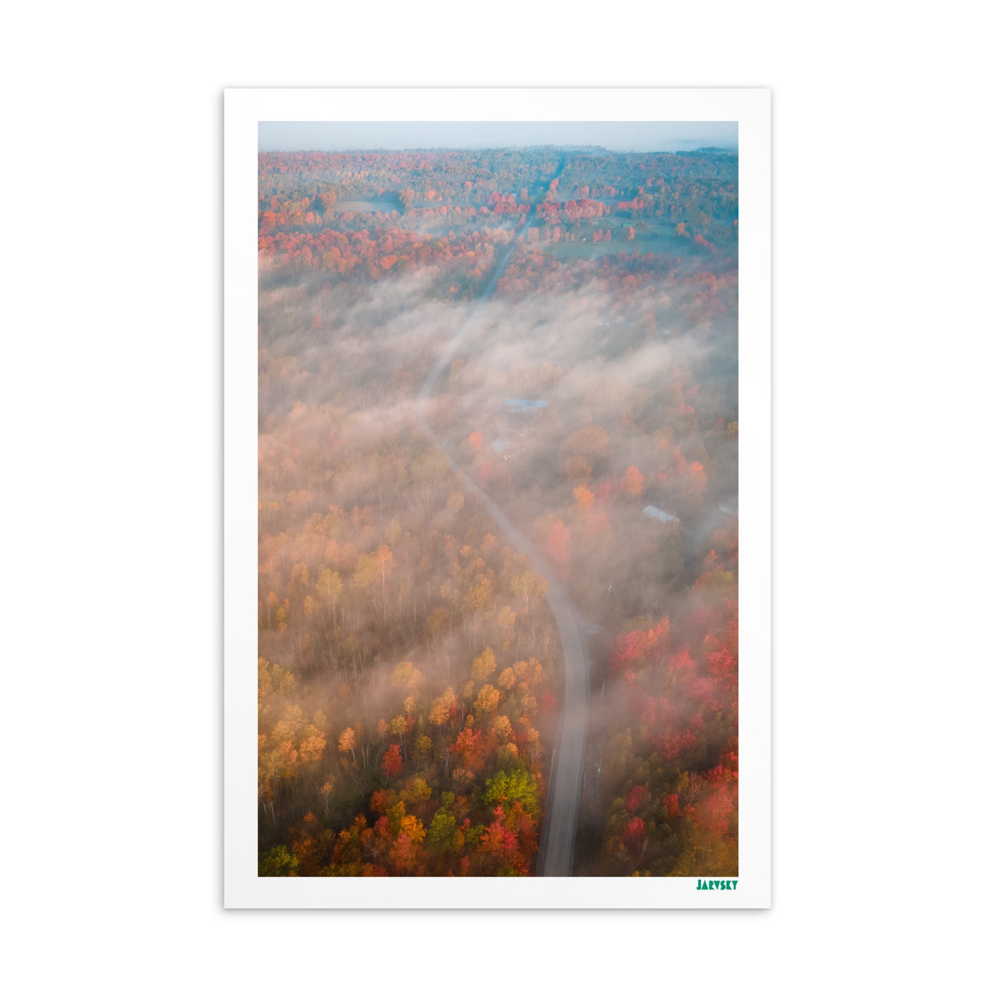 Autumn Collection - Foggy Road