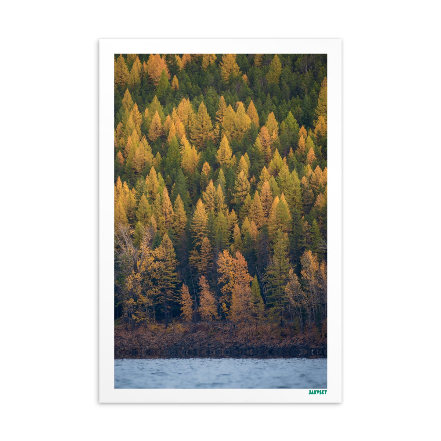 Autumn Collection - Golden Larch on the Lake